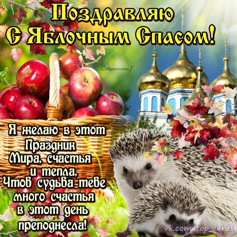 Преображение господне 2022. Преображение господне тропарпраздника. Открытки с преображением господним и яблочным спасом. Яблочный спас. Стих преображение.