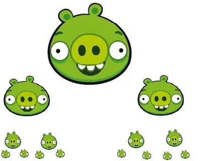 Pig birds