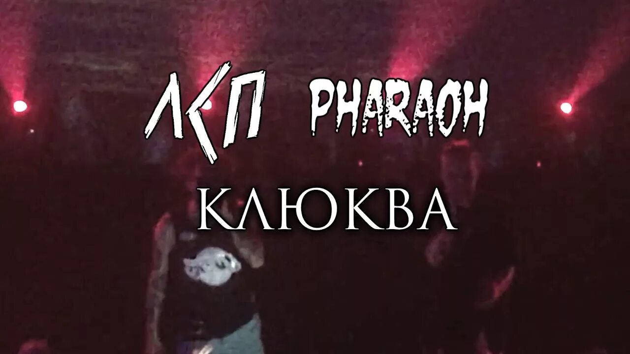 Клюква фараон. Клюква ЛСП. Клюква грязь Pharaon ЛСП. Клюква фараон концерт.