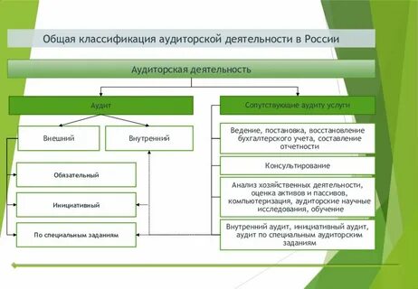 Аудиторская организация определение