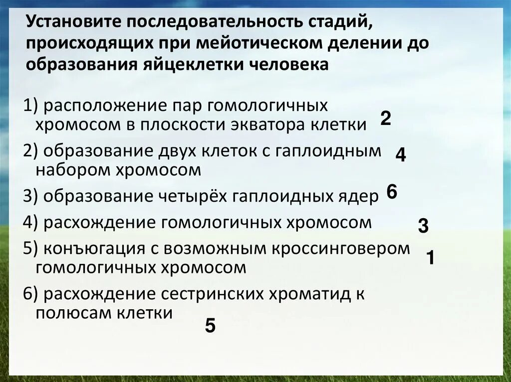 Установите очередность этапов образования графита