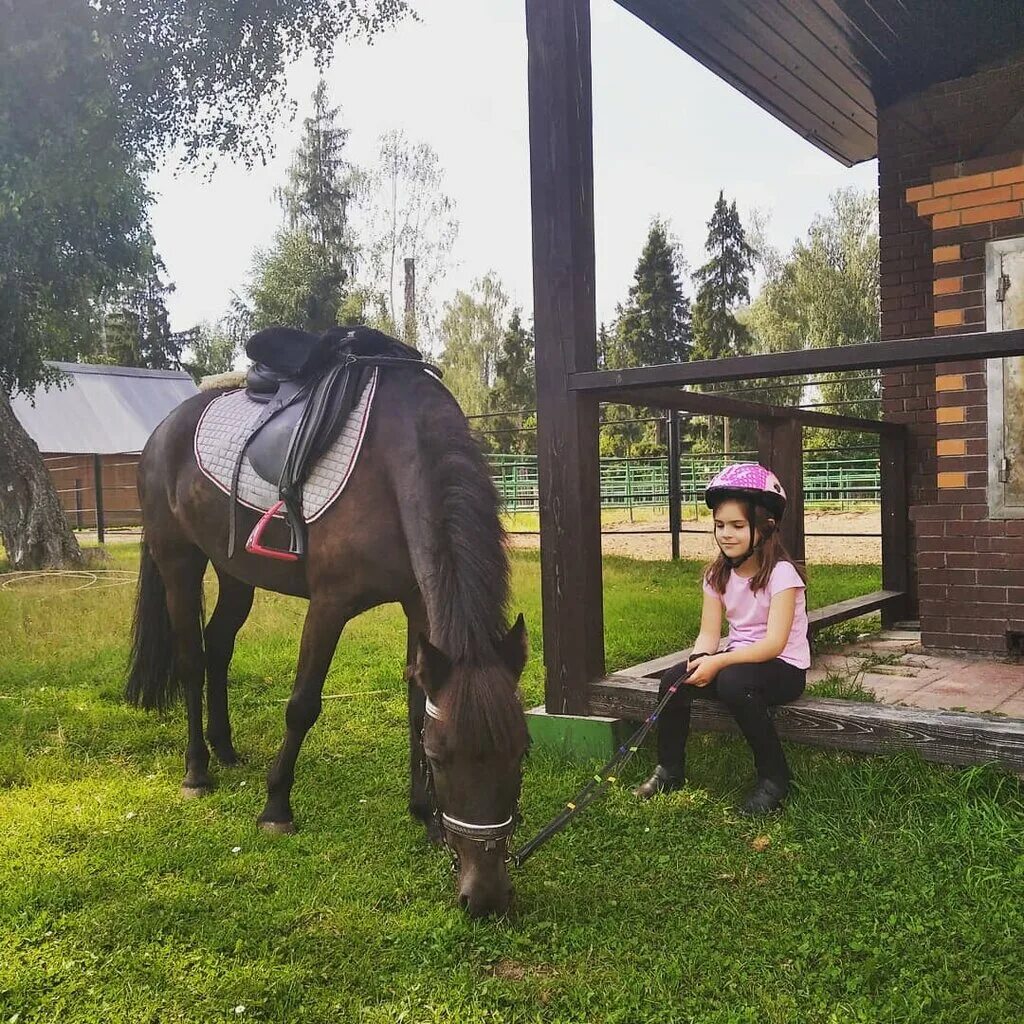 Кск молодежный. Верховая езда на Рублевке. КСК молодежный конный. Конный завод на Рублевке. Конно-спортивный комплекс “ горки -2 “.