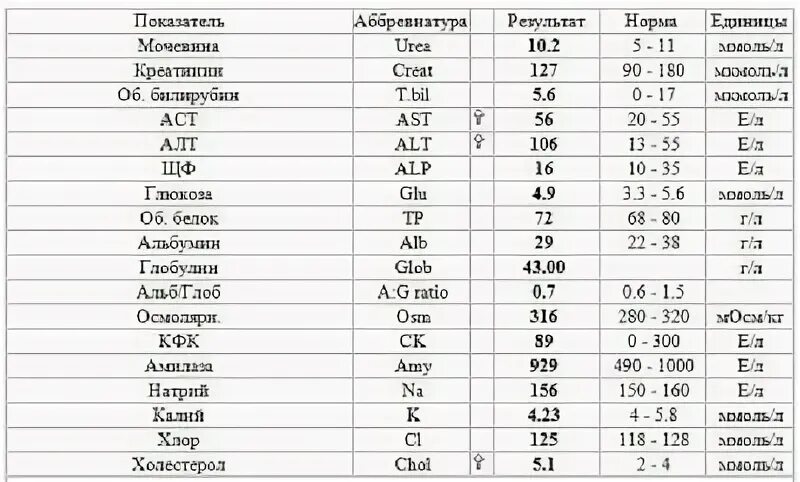 Аст алт повышена у собак