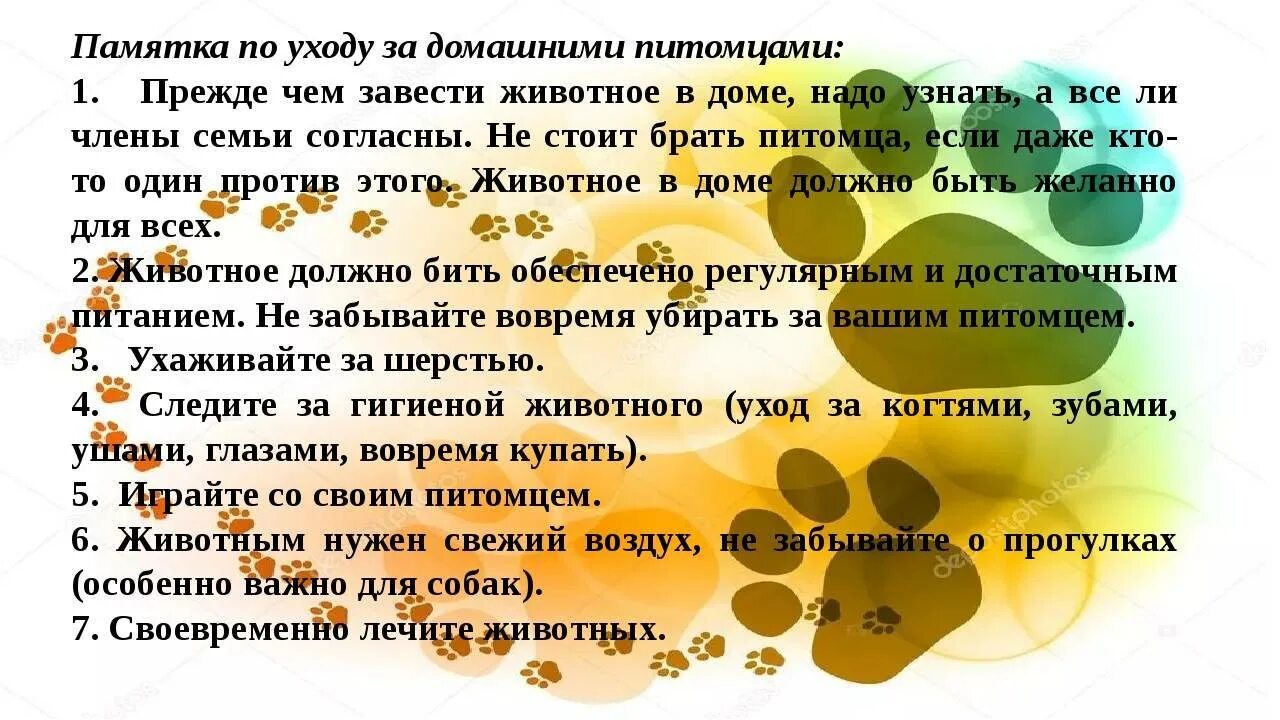 Как узнать за кем я ухаживаю. Памятка по уходу за животными. Правила ухода за домашними животными. Памятки как ухаживать за домашними питомцами. Памятка об уходе за животным.