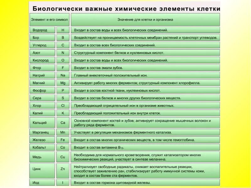 Химический состав клетки функции веществ. Биологические важные химические элементы клетки таблица. Функции химических элементов в клетке таблица. Содержание химических элементов в клетке таблица. Роль химических элементов в клетке таблица биология.