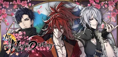My ninja destiny