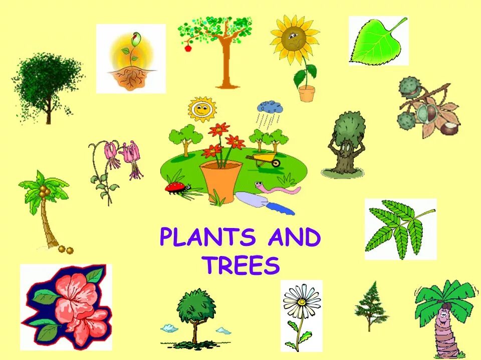 Plants english. Растения на английском. Plants надпись. Plants and Trees английский. Plants картинка с надписью.