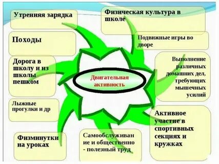 Здоровье человека курсовая работа