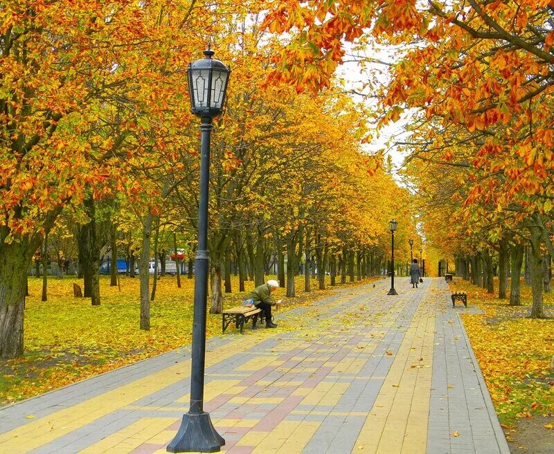 ростов-на-дону осенний парк осенний парк. ростов на дону река осень. осенний ростов на дону фото дон. пушкинская осенью ростов на дону. церковь оренбург золотая осень.