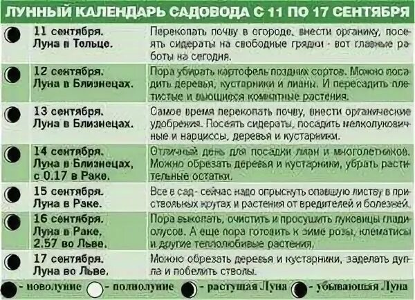 Сажать в полнолуние. Посадки при убывающей Луне. Какие овощи сажать на убывающей Луне. Посадка растений на убывающую луну. Что можно сажать на убывающую луну.