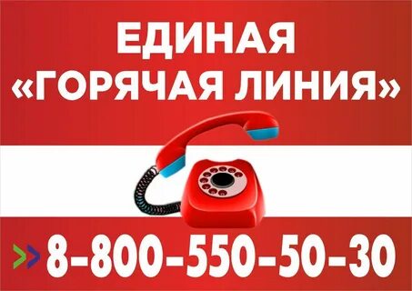 Единый социальный фонд телефон горячей линии