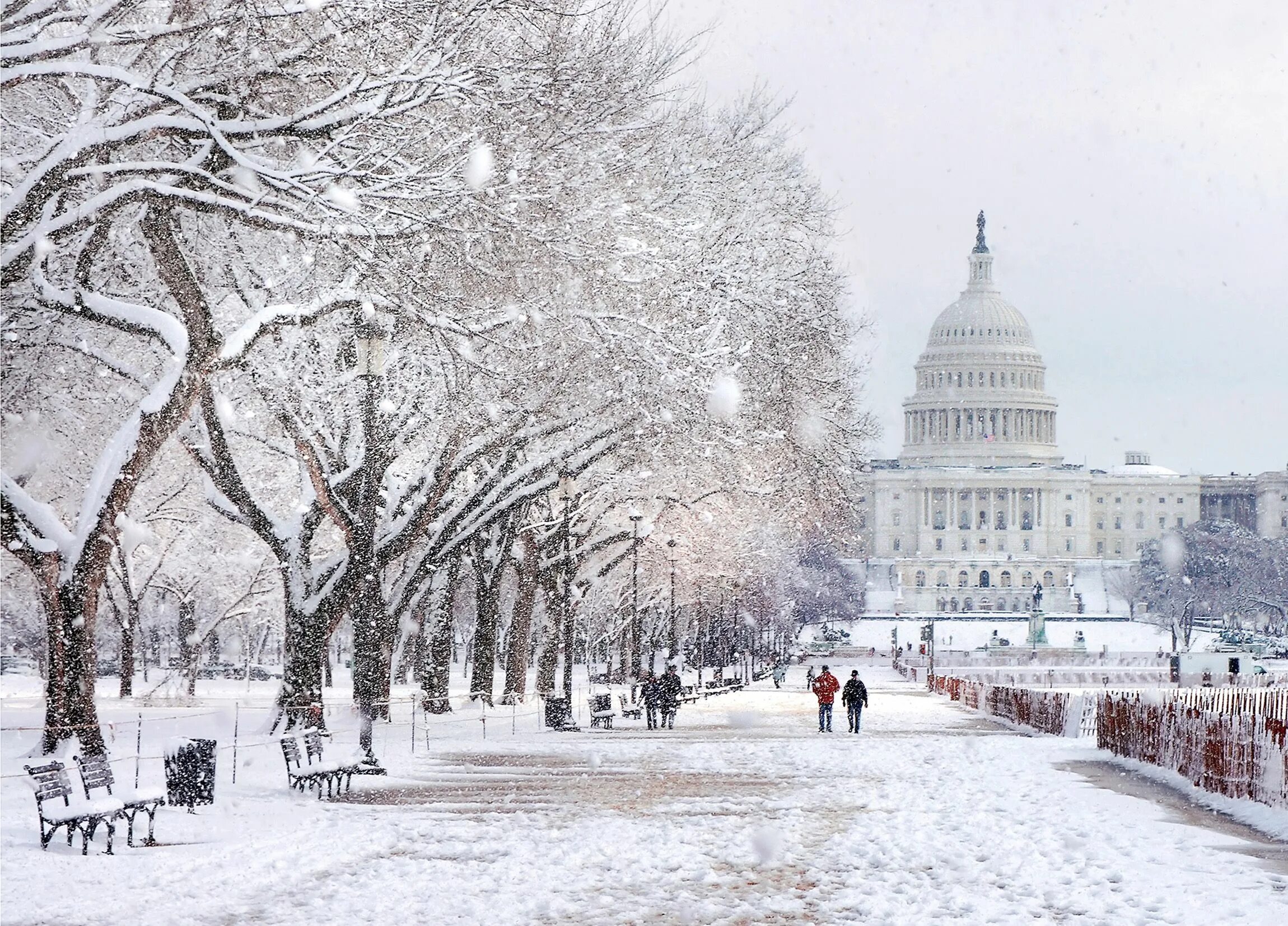 Америка зимнее время. Капитолий Вашингтон зимой. Вашингтон зимой 2021. Эдмонд Вашингтон зима. Штат Вашингтон зимой.