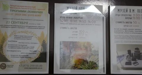 Графское воронеж расписание