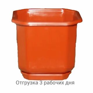 Дам пласт