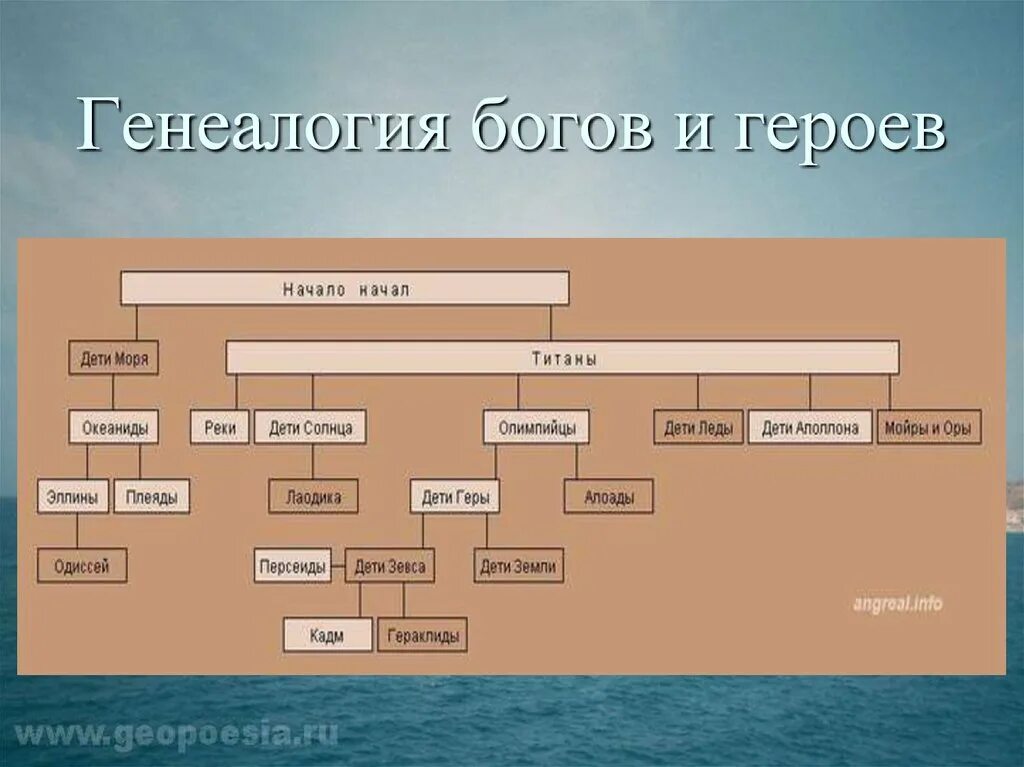 Высшие боги какие. Родословная (Пантеон) греческих богов. Родословная схема пантеона греческих богов. Семейное Древо богов древней Греции от Зевса. Родословная древнегреческих богов схема.