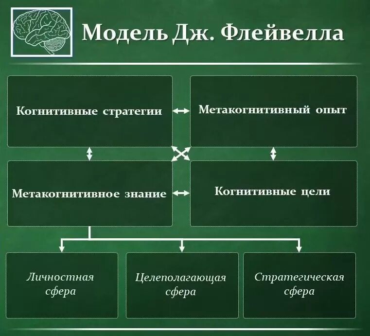 Технологии когнитивно ментального доминирования. Метакогнитивные навыки. Метакогнитивная психология. Когнитивные способности это в психологии. Когнитивная психология.