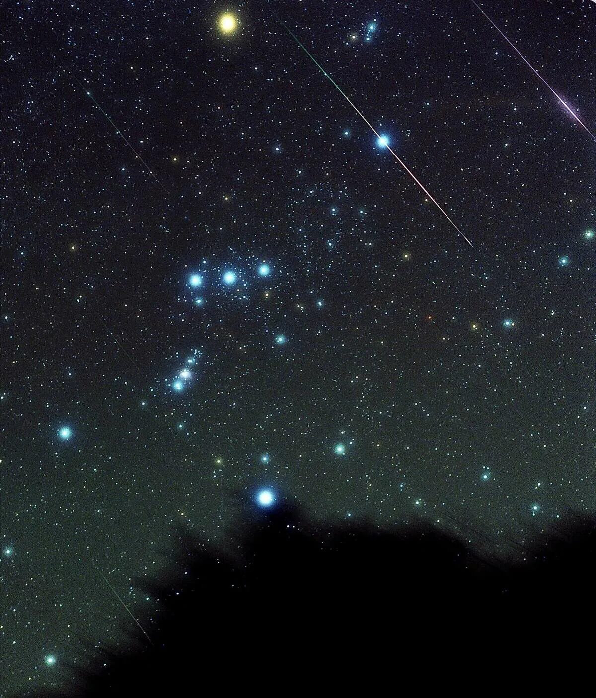 Созвездие над головой. Созвездие Орион. Звезды Ориона Ориониды. Яркие звезды в созвездии Орион. Созвездие Ориона на небе.