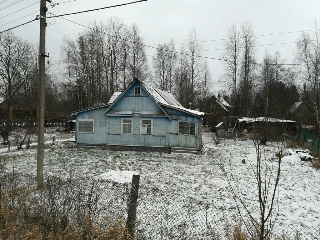 Деревня проба Всеволожский район. Деревня проба Ленинградская область Всеволожский район. Станция проба Всеволожский район. Проба Всеволожский район Ленинградской области.