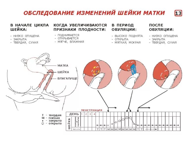 Почему У Девушки Болит Влагалище После Секса