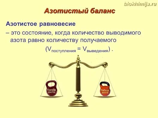 Азотистый баланс. Виды азотистого баланса. Азотистый баланс биохимия. Азотистый баланс и его виды. Рели баланс