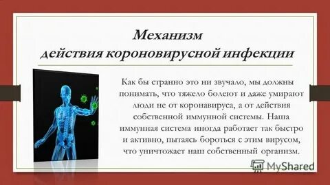 Информация о новой короновирусной инфекции