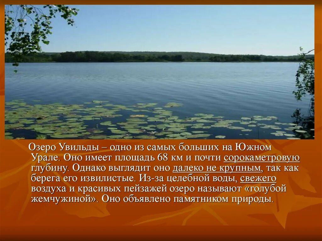 Крупные озера урала. Озеро Увильды Челябинская область описание. Озеро Увильды на Урале кратко. Озеро Увильды Челябинская область рассказ. Обитатели озера Увильды.