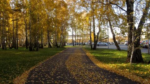 Роща тюмень