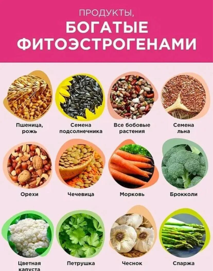 Все продукты увеличивающие. Продукты с фитоэстрогенами. травы богатые фитоэстрогенами. фитоэстрогены в продуктах. растительные фитоэстрогены.
