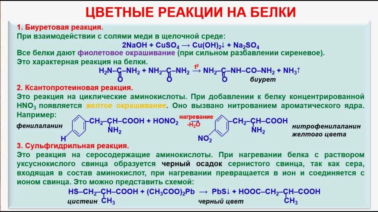 Цветные качественные реакции на белки. Химические свойства белка химия цветные реакции. Качественные реакции на белки цветные реакции. Качественные реакции на белки и аминокислоты. Белки вода реакция