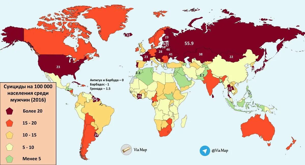 Статистика самоубийств в мире карта. Статистика суицидов в мире. Статистика суицида карта. Суицидальная карта