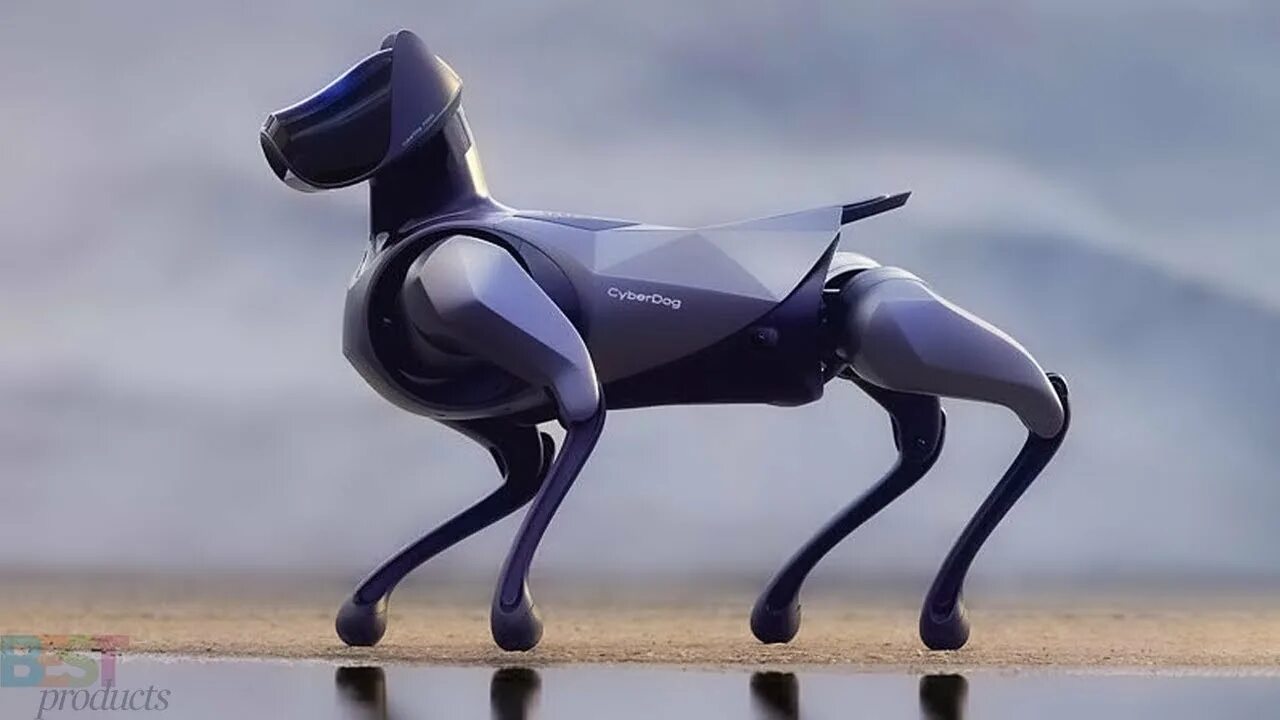 Cyberdog xiaomi. Австралийский кибердог. Собака робот кибердог. Xiaomi cyberdog 2. Xiaomi cyberdog 2.