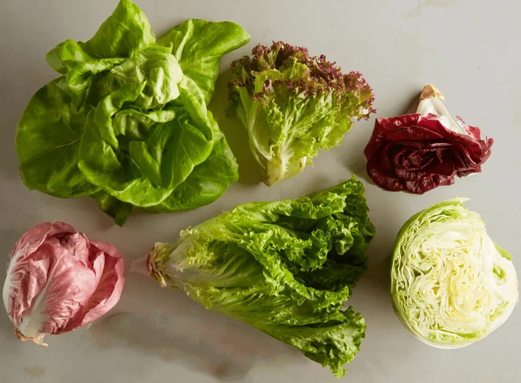 Сколько видов салатов. Виды салатов. lettuce. purple lettuce.