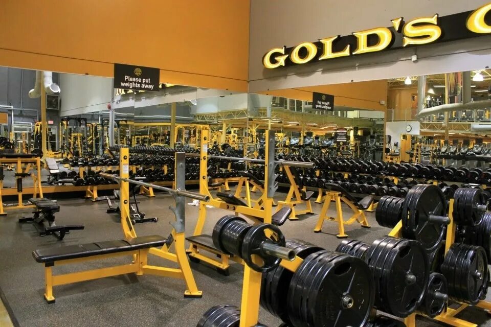 Gold's gym шварценеггер. Golds gym отзывы. Голдс джим. Голд джим динамо. Golds gym armenia.