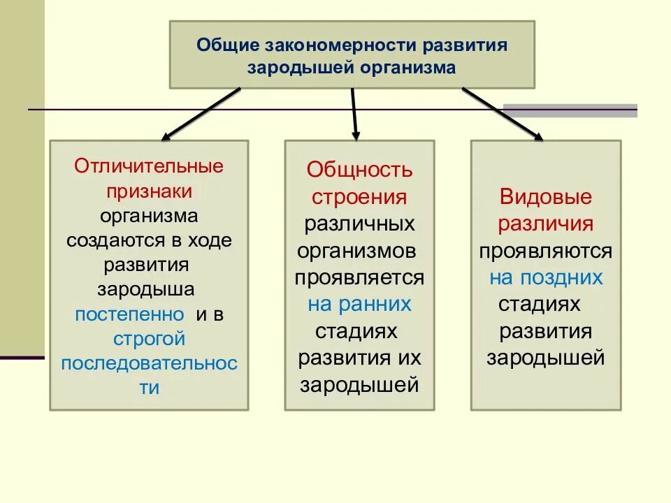 Основные закономерности урока. Кластер Общие биологические закономерности. Общие закономерности развития. Закономерности эволюции. Основные закономерности эволюции.