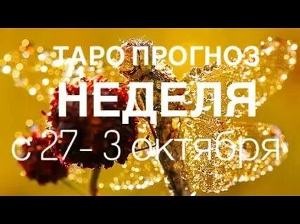 С 27 сентября по 3 октября