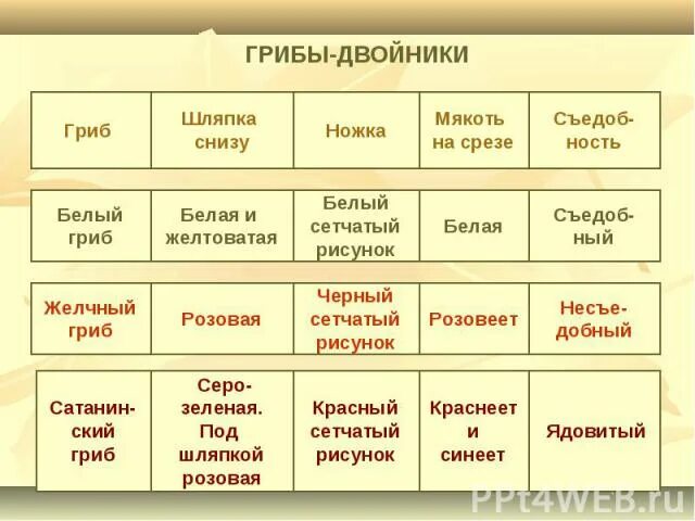 Грибы двойники окружающий мир 3. Грибы двойники по биологии. Грибы двойники 3 класс окружающий мир. Гриб двойник белого гриба. Грибы двойники 3 класс таблица.