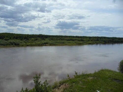 Уровень воды в унже сегодня. Унжа (приток Волги). Река Унжа Вологодская область. Река Унжа Костромская область. Река Унжа Рязанская область.