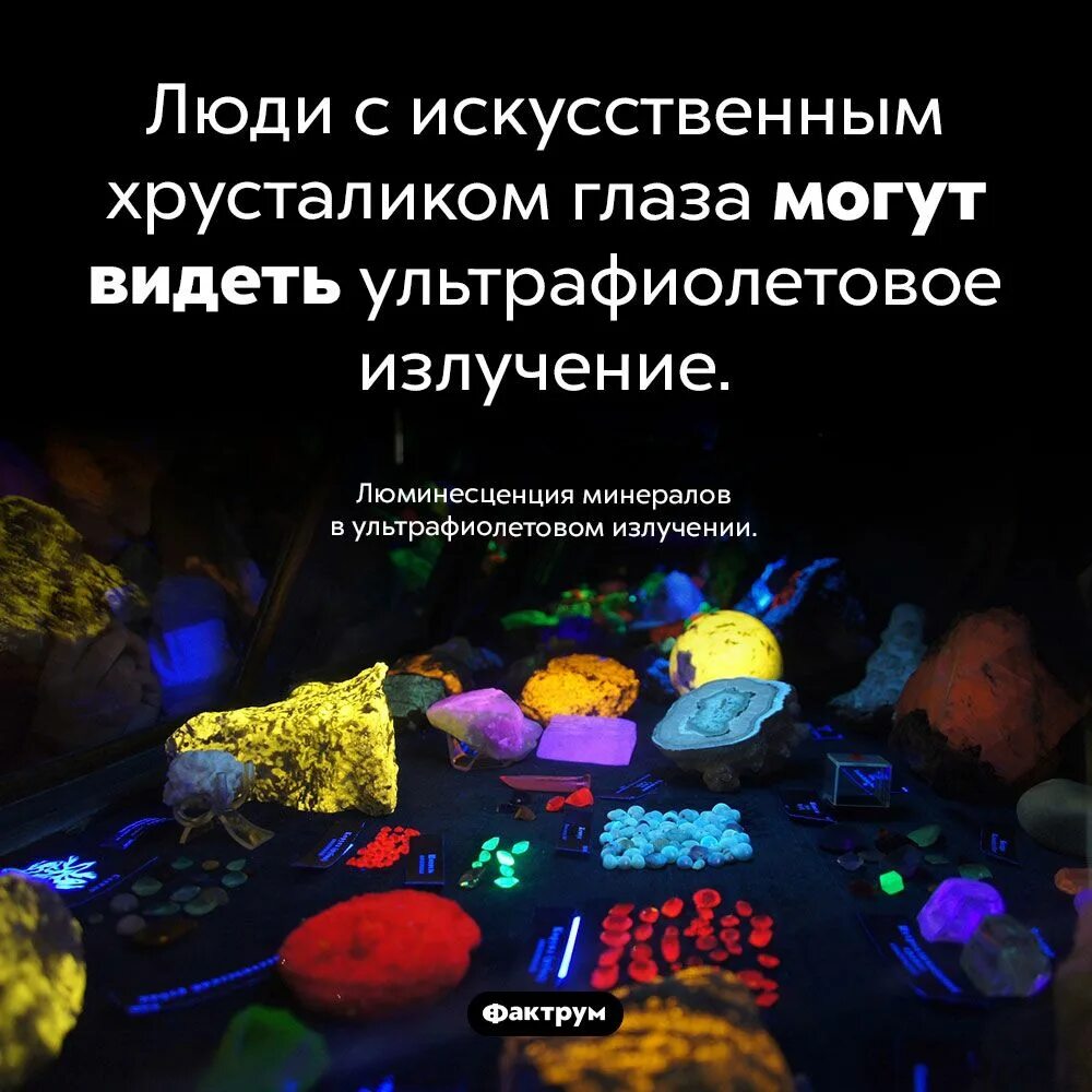 Ультрафиолетовое излучение интересные факты