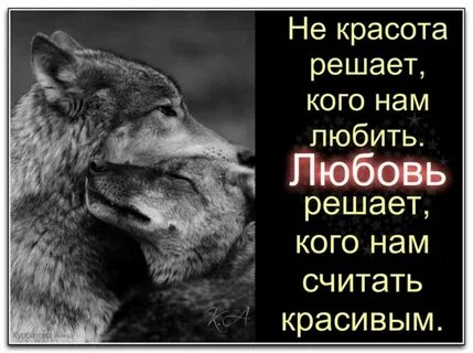 Красота решает