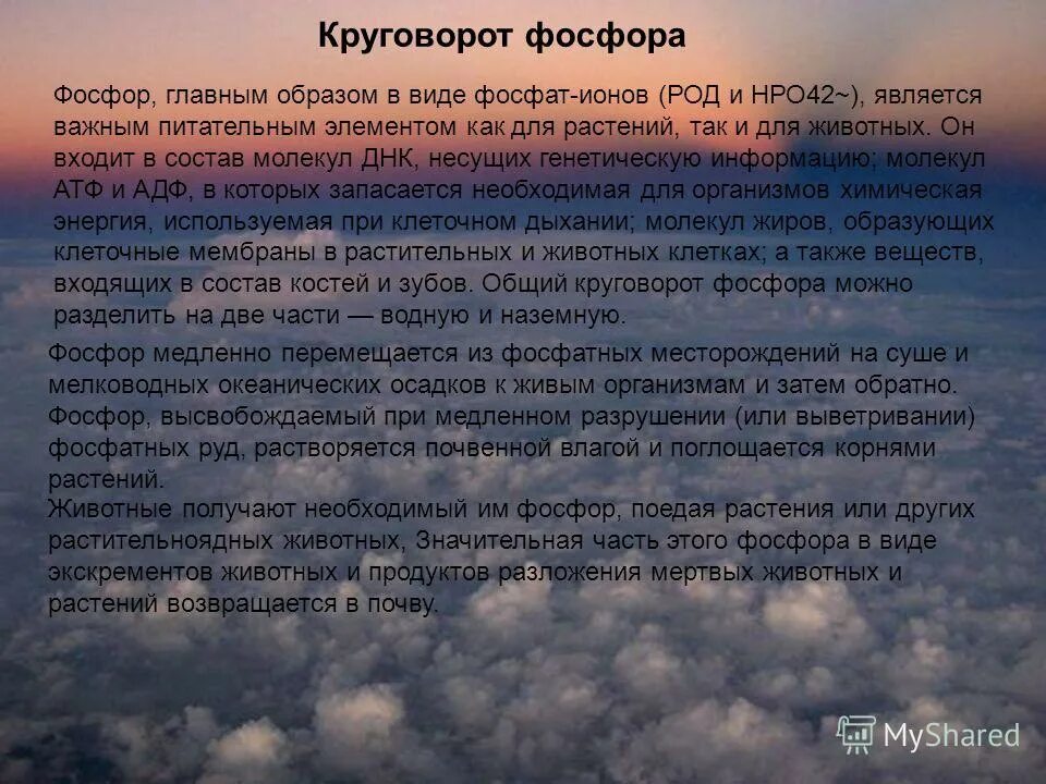 Роль атмосферы в жизни планеты земля. Атмосфера и человепрезентация. Роль атмосферы в жизни человека. Важную роль в накоплении кислорода в атмосфере играют. Атмосфера является важным.