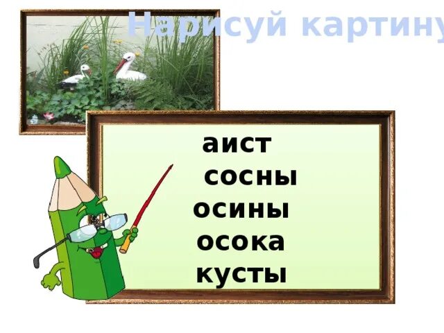 Выделить окончание в слове сосна. Осока словарное слово. Осина Осока. Сосна и Осока. Слово сосна.