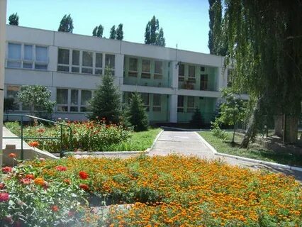 Камышинский сад