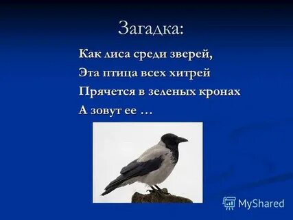 Загадки про птиц 4 5 лет