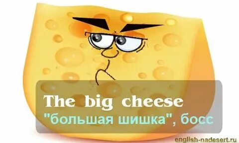 Big cheese