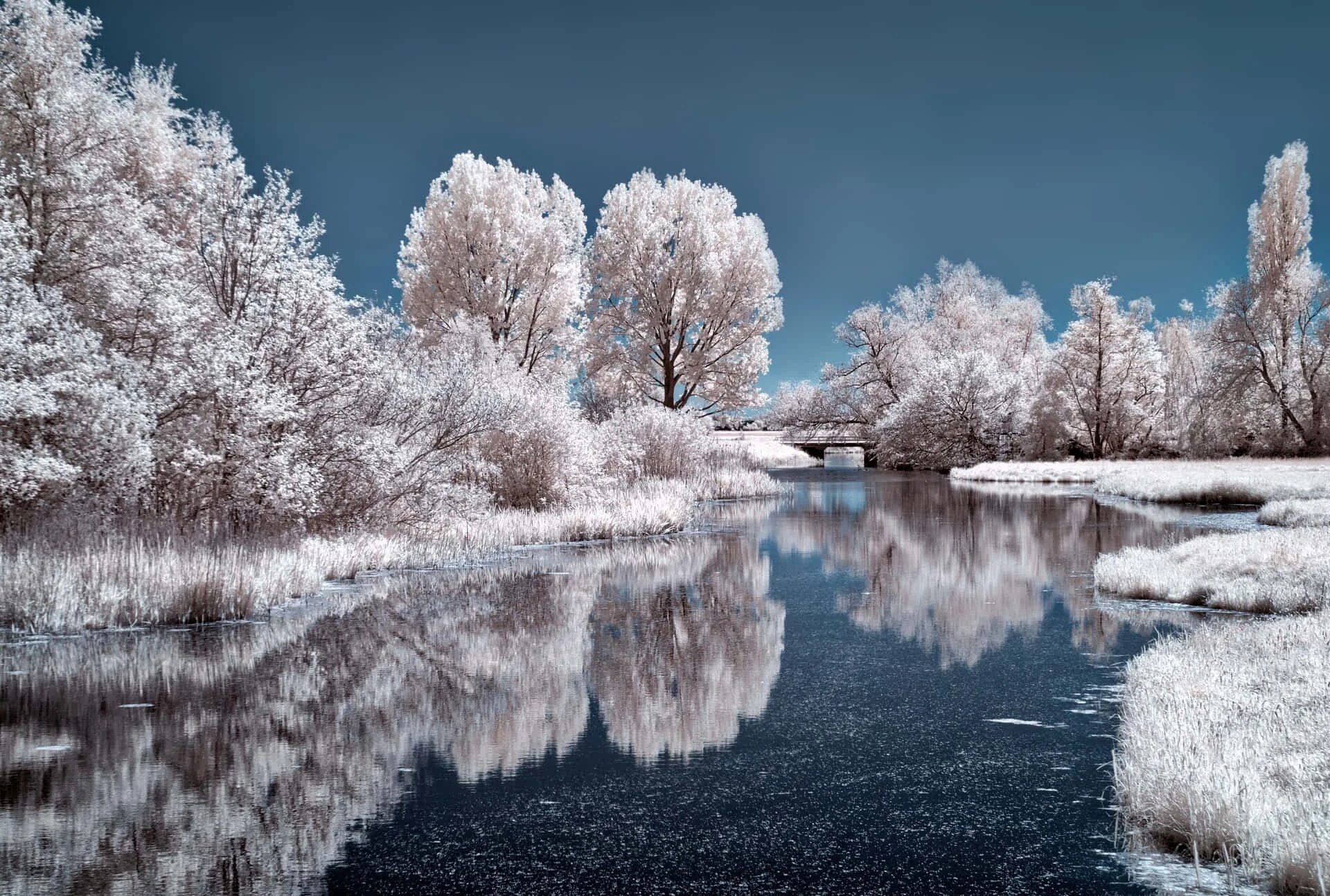 Snow is beautiful. Красивая зима. Зимний пейзаж. Зимняя природа. Снежный пейзаж.