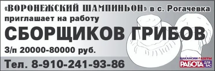 Свежая вакансии сторожем воронеж. Работа в Воронеже. Работа в Воронеже свежие вакансии. Объявление в газету ищу работу. Авито поиск работы в Воронеже свежие вакансии.