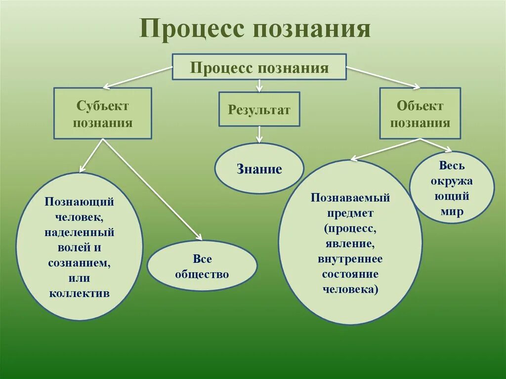 Что является целью познания человека. Формы процесса познания. Виды процесса познания. Процесс познания схема.