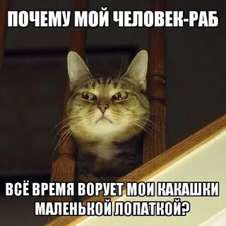Тебя уберут как и не было