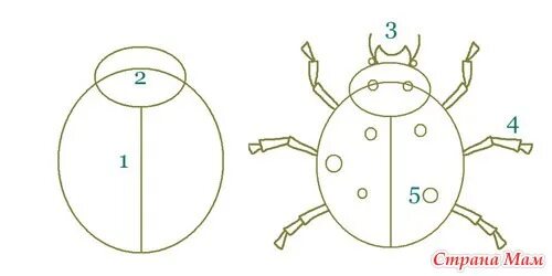 игра божьи коровки и ветер. дополни схемы божья коровка листья. божья коровка строение тела. строение божьей коровки. божья коровка задания для малышей.