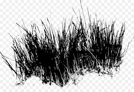 Black grass